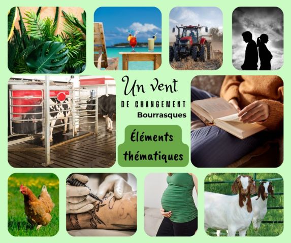 669399088 122223922274559642 3144060904725746341 n