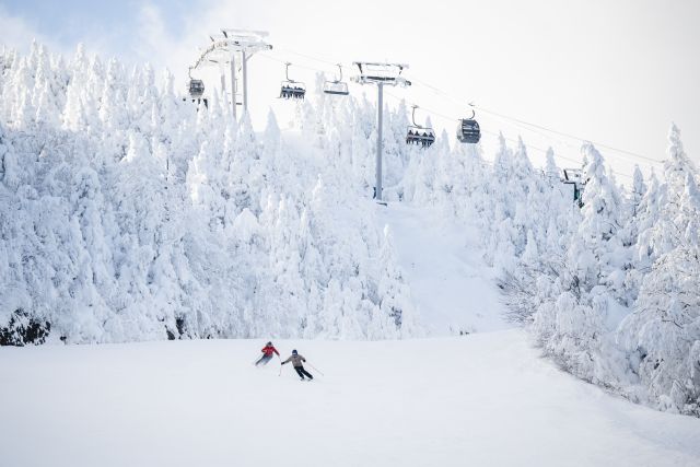 ASSQ 2025 ALEXEROOT Orford Ecoledeski