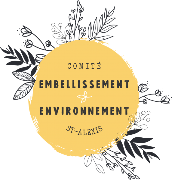 LOGO OFFICIEL CCE